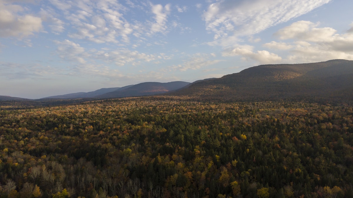 Hunter Mountain